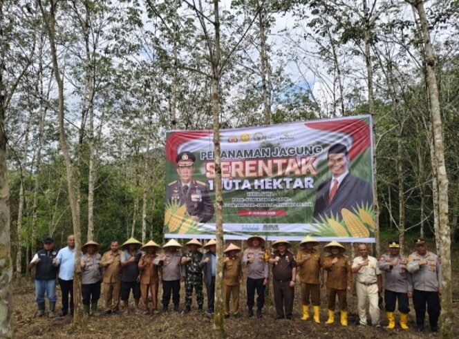 
					Polres Pakpak Bharat Hari Ini Mengikuti Kegiatan Penanaman Jagung Serentak Diselenggarakan Oleh Polri Dan Kementerian Pertanian RI