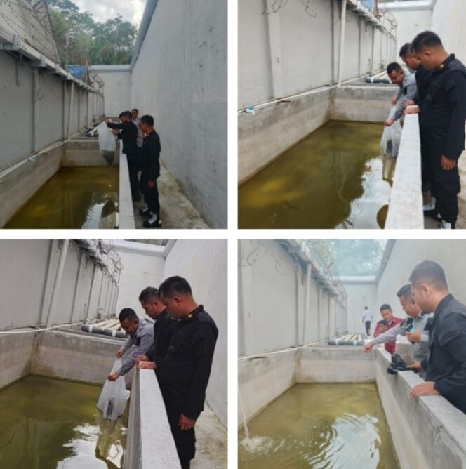 
					Dukung Program Ketahanan Pangan, Rutan Tarutung Tabur 2.000 Benih Ikan Nila