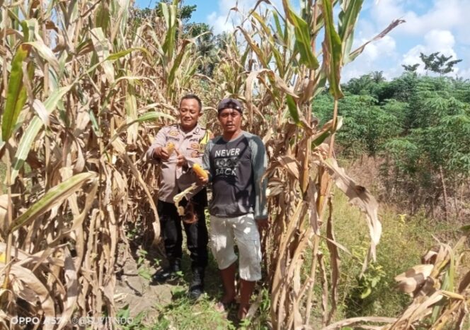 
					Polsek Indra Pura Dukung Program Ketahanan Pangan Pemerintah