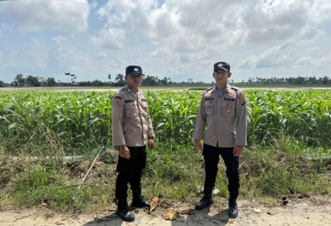 
					Bhabinkamtibmas Mendukung Program Ketahanan Pangan Pemerintah dengan Pemanfaatan Lahan di Desa. Aek Nauli